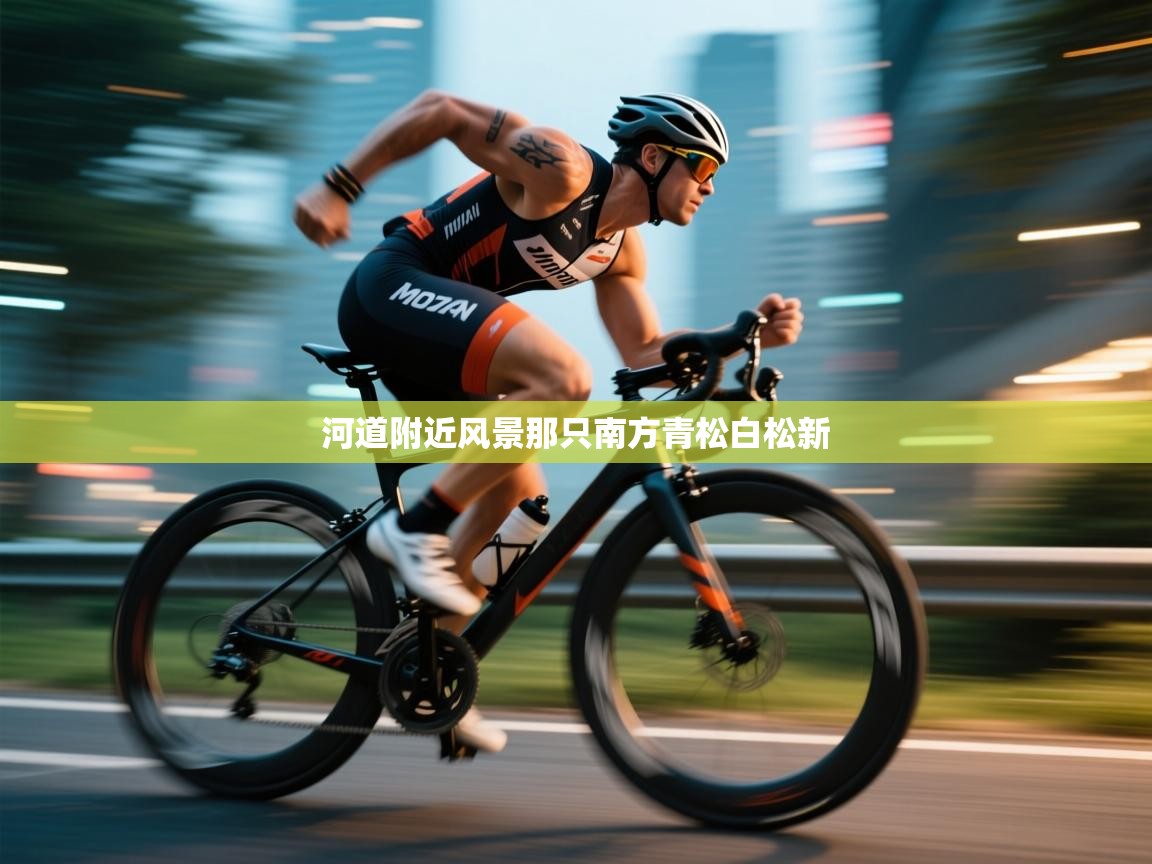 河道附近风景那只南方青松白松新  第2张