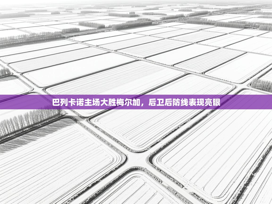 巴列卡诺主场大胜梅尔加，后卫后防线表现亮眼  第1张