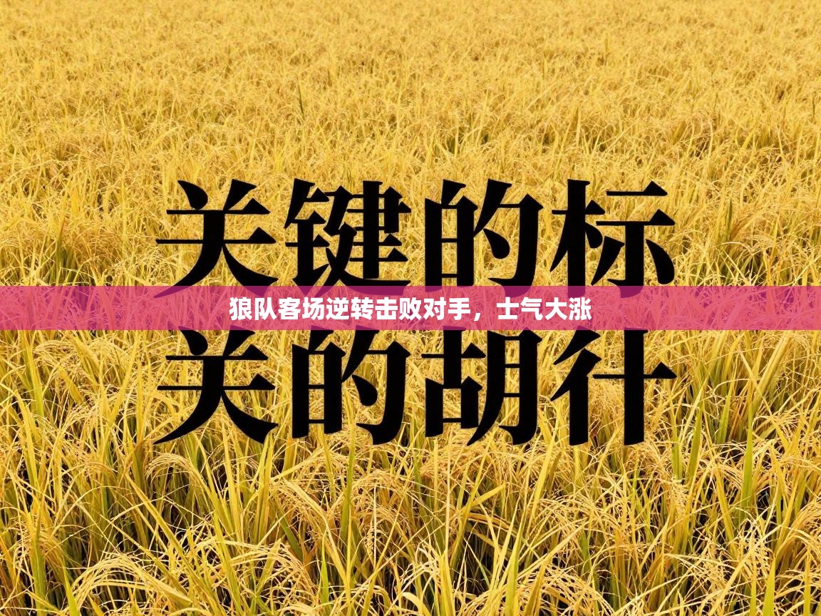 狼队客场逆转击败对手，士气大涨  第2张